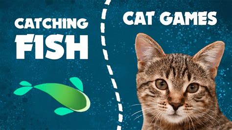 fish catching games for cats